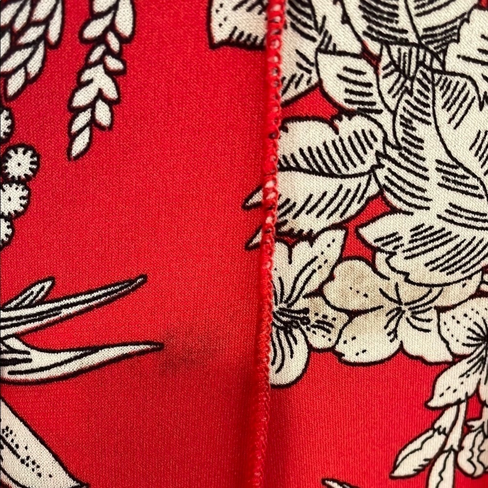 Elegant Red and Black Floral Sleeveless Dress | Size 4 FAIR CONDITION - Picture 6 of 12